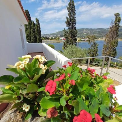 Skiathos Lagoterra Apartments Exterior foto
